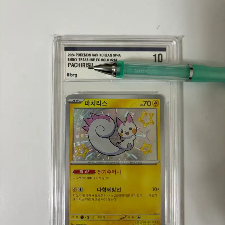 [BUNJANG] Shiny Pachirisu Rank 10 / 이로치 파치리스 10등급