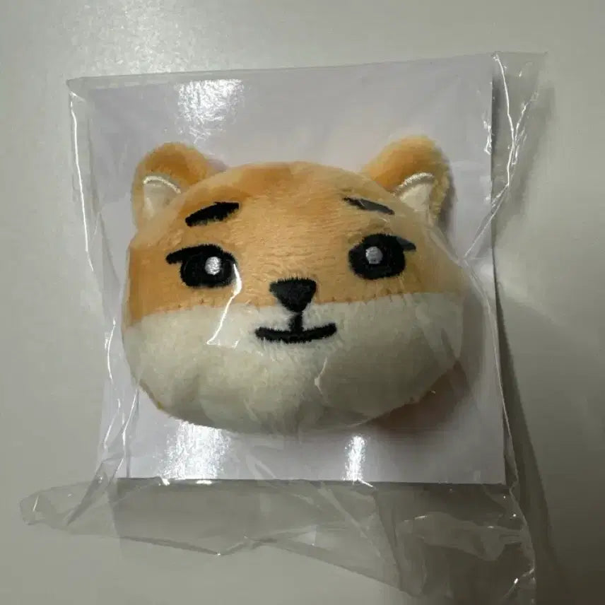 [BUNJANG] Day6 Tokyo Japan Hairpin Case Sealed / 데이식스 일본 도쿄 헤어핀 케