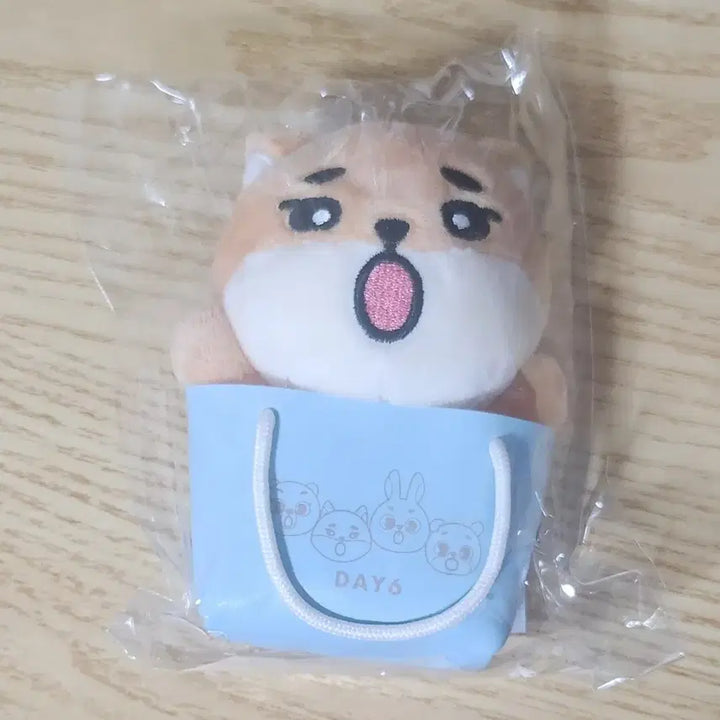 [BUNJANG] DAY6 Japan Concert Bag Charm Young K / 데이식스 일본콘 백참 영케이