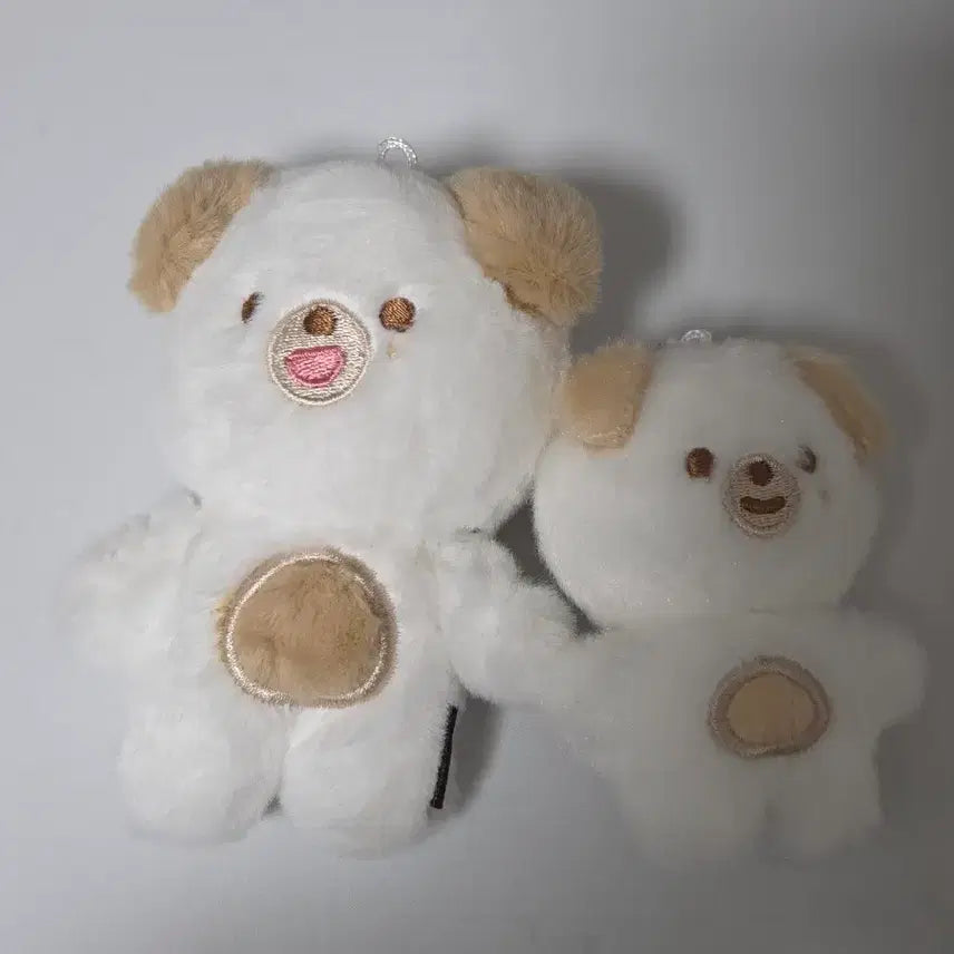 [SOLD OUT] 데이식스 쁘멀 쁘쁘멀 돈 일괄