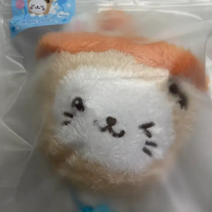 [SOLD OUT] 오리지널 버블냥
