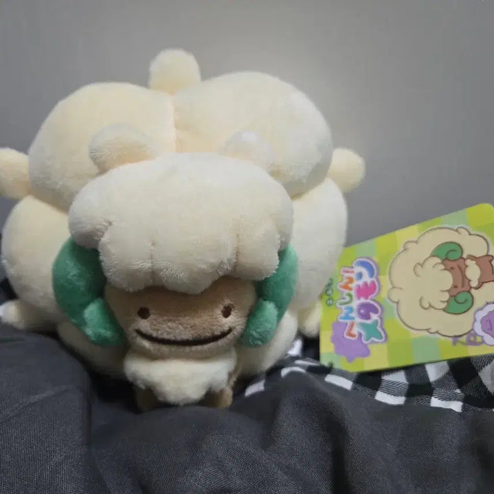 [BUNJANG] Pokemon Ditto Transformation Plush / 포켓몬스터 엘풍이 메타몽 변신 인형