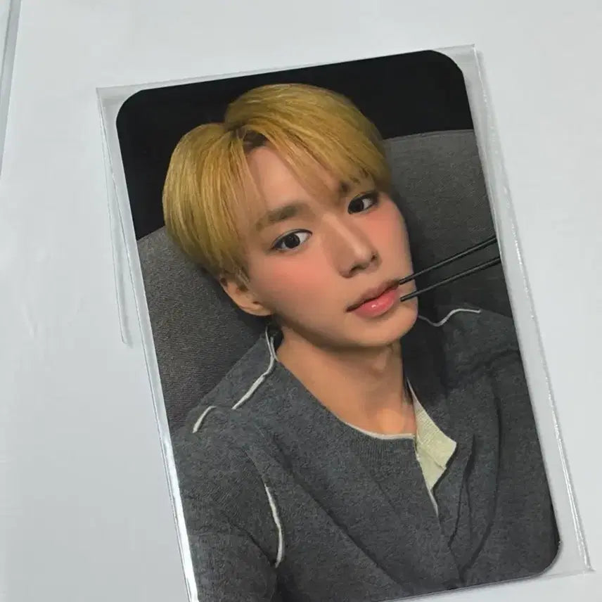 [BUNJANG] ALPHADRIVEONE Junseo Photocard / 알파드라이브원 알디원 하이디라오 준서 포카 양도