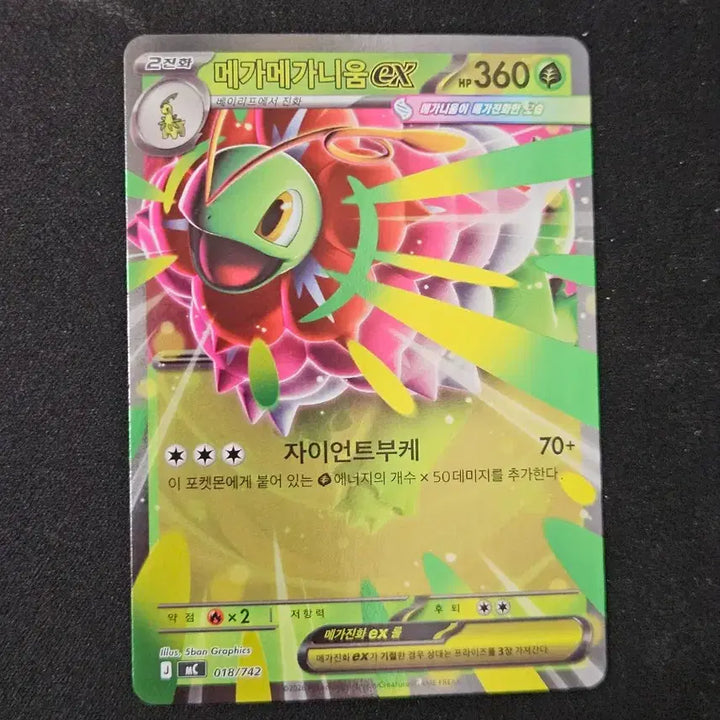 [BUNJANG] Mega Meganium Holo - 100 Deck Card / 100덱 006번 메가메가니움 홀로