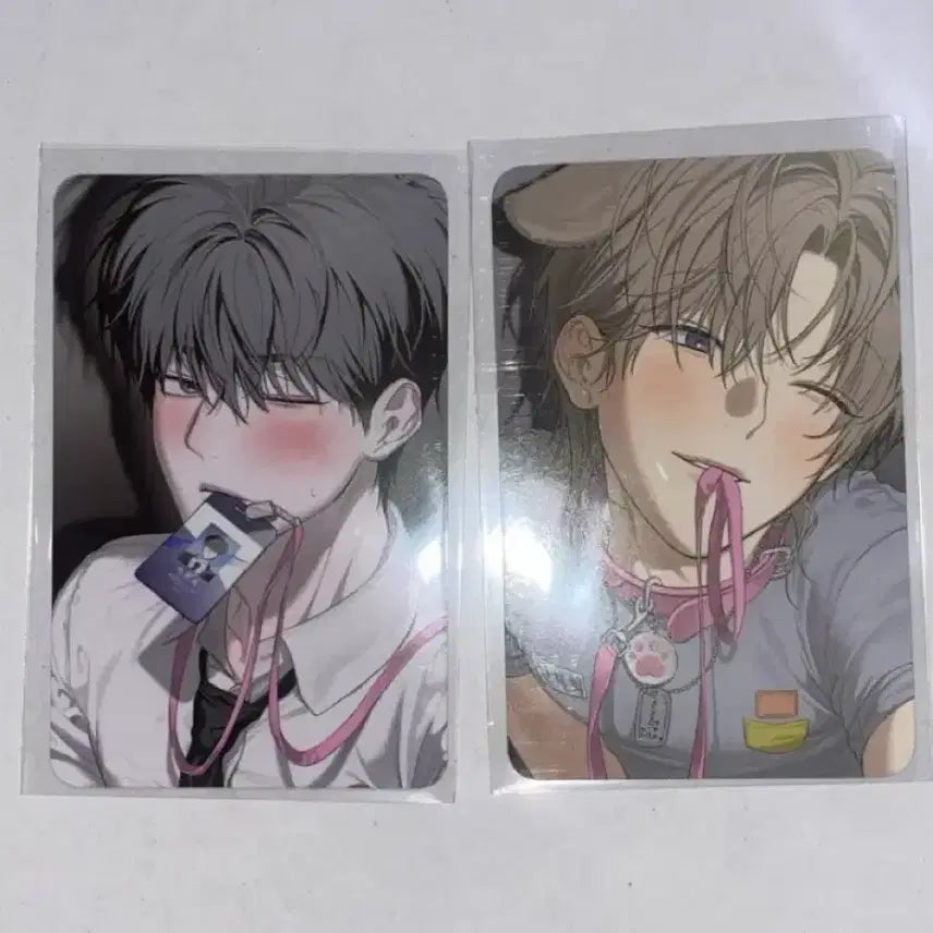 [BUNJANG] Mr. Blue Pop-up Event Bundle Photocard Set / 미스터블루 팝업 사용후 반품불가 5만원 특전 5특 포카 일괄 미블컴퍼니