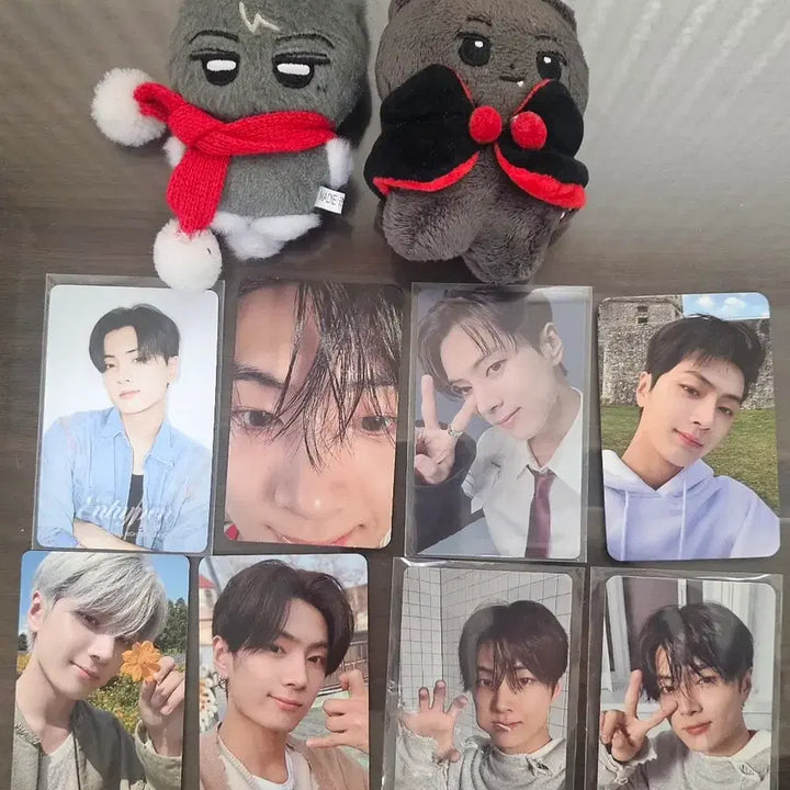 [BUNJANG] ENHYPEN Jay Bundle Set Photocards &amp; Dolls / 엔하이픈 제이 포카 일괄 양도+ 제이 인형들 (뒷장에서 확인 가능)