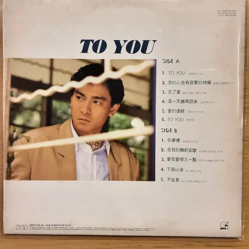 [BUNJANG] Andy Lau LP / 유덕화 lp