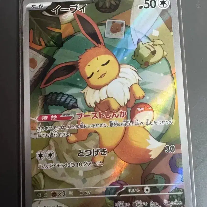 [BUNJANG] Pokemon Card Eevee AR Japanese Edition 100 Deck / 포켓몬 카드 100덱 이브이AR 일판