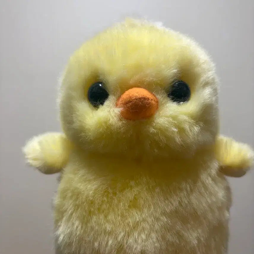 [BUNJANG] Everland Duck Plush Doll / 에버랜드 오리 인형