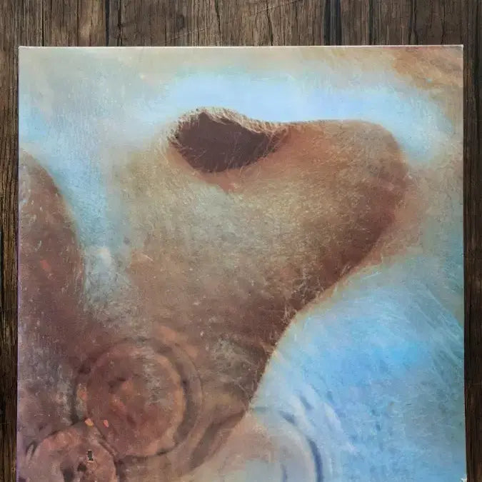 [BUNJANG] Pink Floyd 1993 EMI "The Division Bell" Vinyl Record / Pink Floyd 93년 EMI 계몽사 nm+/nm+ GF