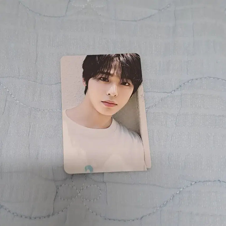[BUNJANG] NCT WISH Riku Photocard / 엔시티위시 리쿠 포카