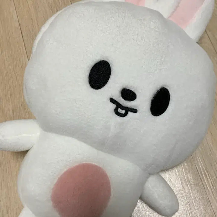 [BUNJANG] Stray Kids SKZOO Plush LBB Ribbit Leeknow Photocard / 스트레이키즈 스키주 플러시백팩 리빗 리노 포카 포함