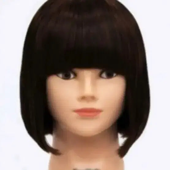 [BUNJANG] Proa Venus Morris Practice Wigs / 프로아 비너스 모리스 가발판매