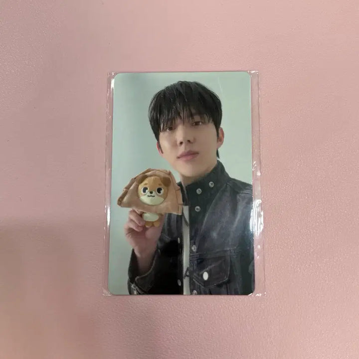 [BUNJANG] DAY6 Forever Young Concert MD Dowoon Photocard / 데이식스 포에버영 콘서트 엠디 4만원 구매 특전 포카 도운