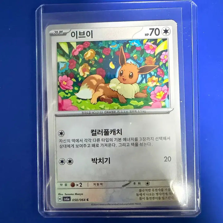 [BUNJANG] Pokemon Eevee Card / 포켓몬카드 이브이 카드