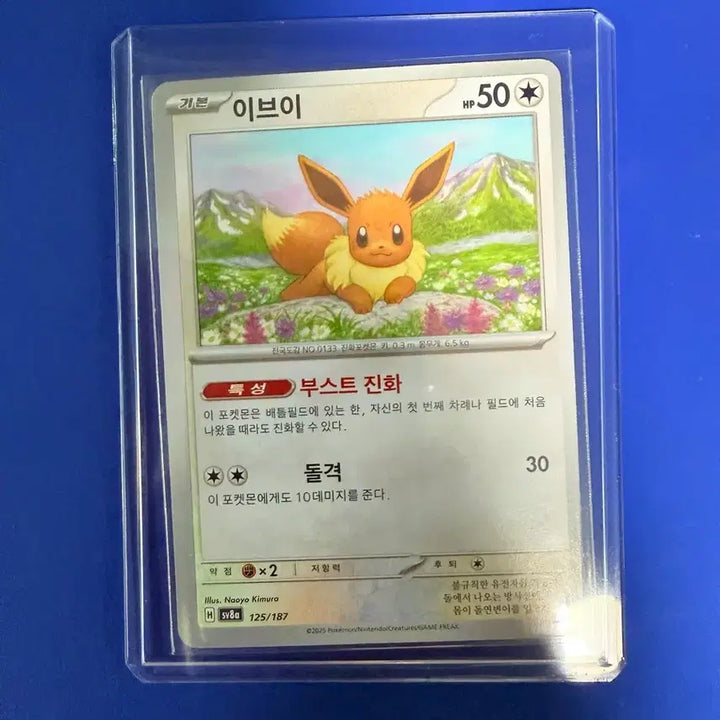 [BUNJANG] Pokemon Card Eevee Card / 포켓몬카드 이브이 카드