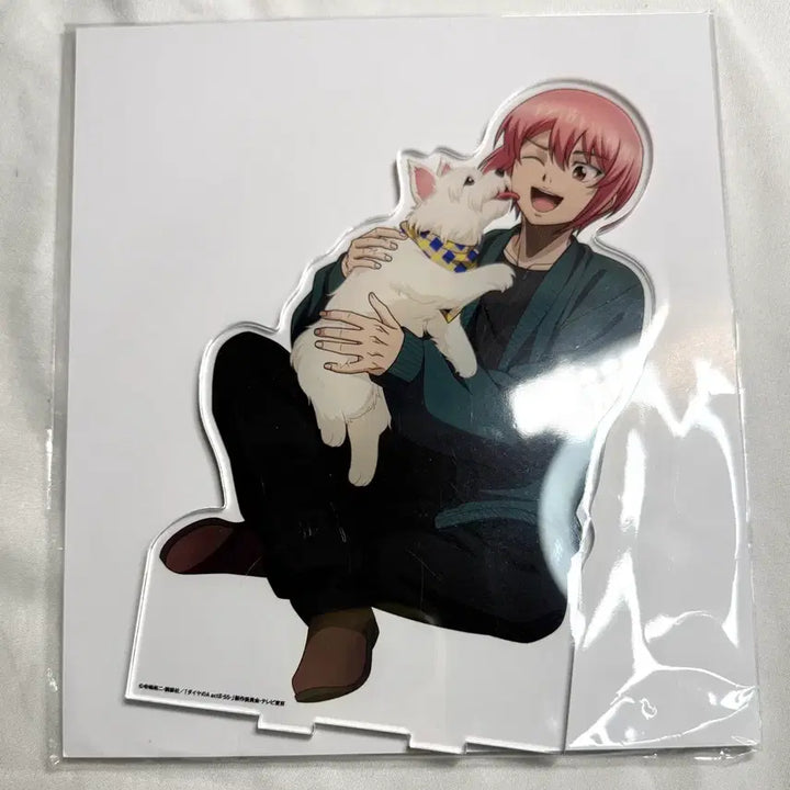[BUNJANG] Diamond Ace Daiya Big Acrylic Stand Haruichi / 미개봉) 다이아몬드 에이스 다이에이 빅 아크릴 스탠드 하루이치 하룻치