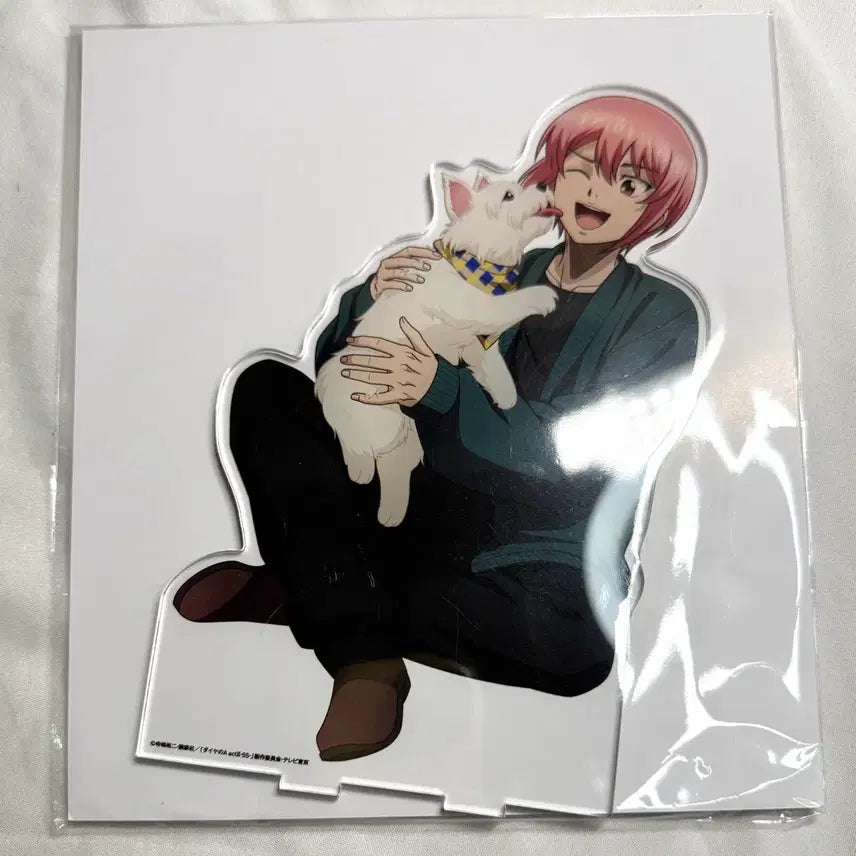 [BUNJANG] Diamond Ace Daiya Big Acrylic Stand Haruichi / 미개봉) 다이아몬드 에이스 다이에이 빅 아크릴 스탠드 하루이치 하룻치