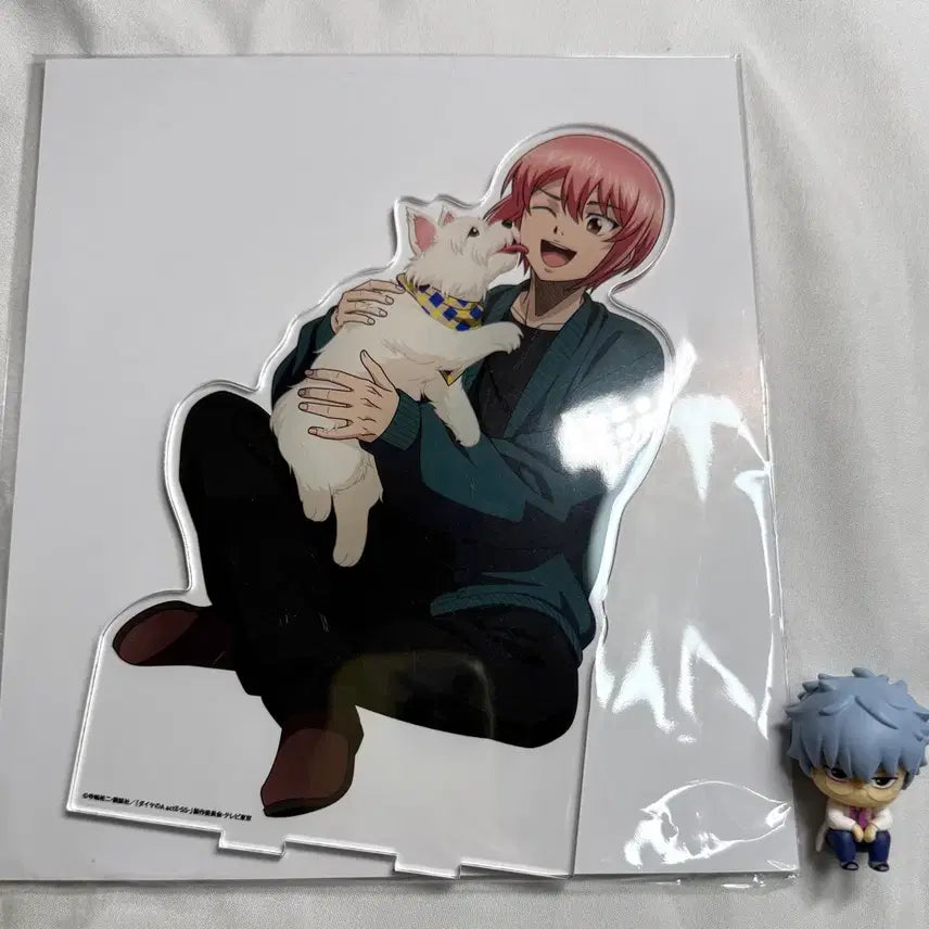 [BUNJANG] Diamond Ace Daiya Big Acrylic Stand Haruichi / 미개봉) 다이아몬드 에이스 다이에이 빅 아크릴 스탠드 하루이치 gigo