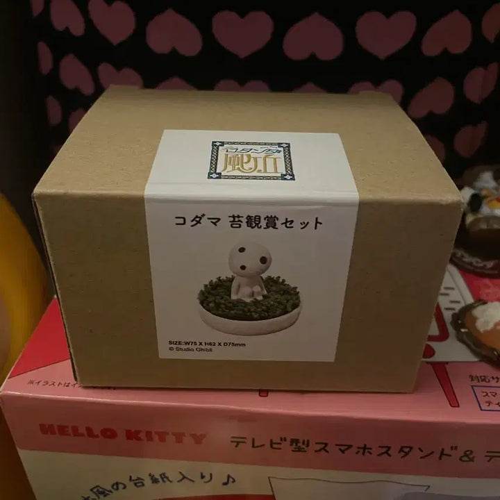 [BUNJANG] Kodama Grass Growing Kit / 코다마 잔디 키우기 세트 고다마