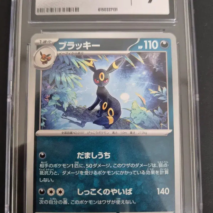 [BUNJANG] Pokemon Card Blacky 070/108 CGC 9 Graded / CGC9 포켓몬 카드 블랙키 070/108