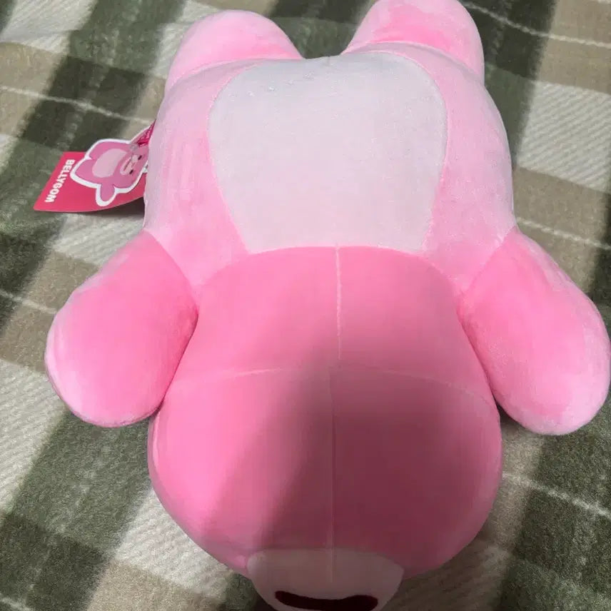 [BUNJANG] Bellygom Mochi Lying Plush Toy Medium / 벨리곰 모찌 라잉 중형 인형(택있음)