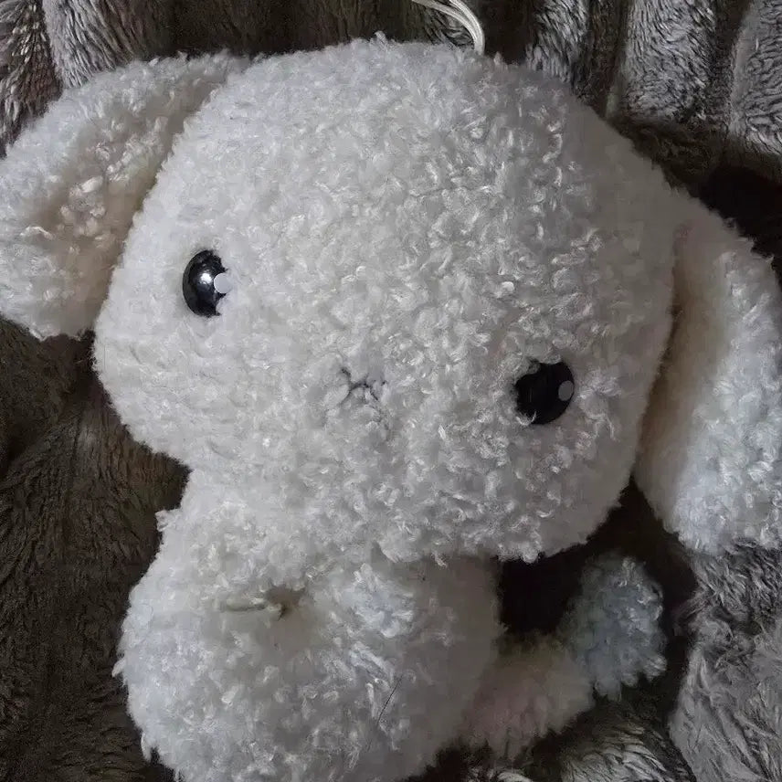 [BUNJANG] Buruburu Dog Plush Toy / 부르부르도그 인형