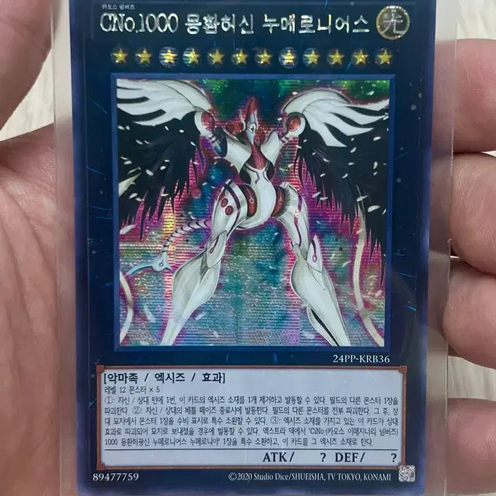 [BUNJANG] CNo.1000 Numernius Chic / CNo.1000 몽환허신 누메로니어스 시크