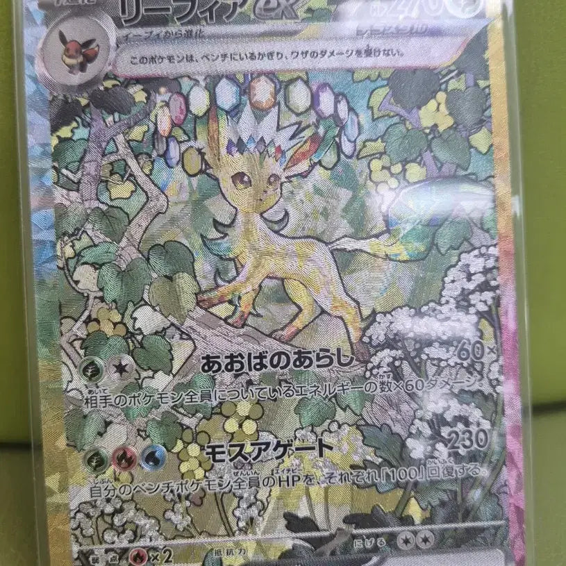 [SOLD OUT] 포켓몬일판 테라스탈 이브이즈 SAR 제작카드
