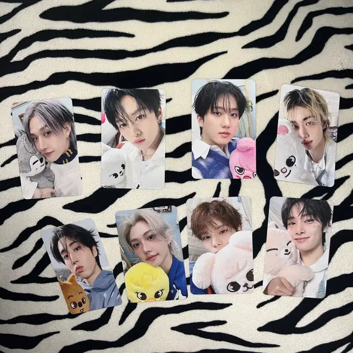 [BUNJANG] Stray Kids 6th Fanmeeting MD POB Real Touch Photocard (Group Set) / 스키즈 팬미팅 엠디 특전 리얼터치 포카(단체로만 판매)