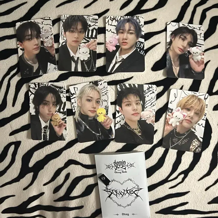 [BUNJANG] Stray Kids Concert Photocard Bundle Set / 스키즈 콘서트 포카 (일괄)