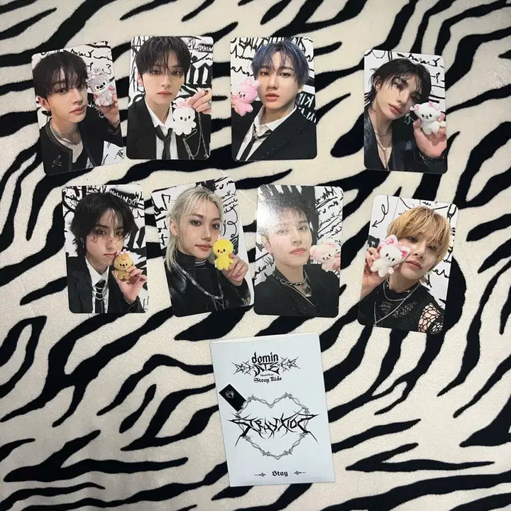 [BUNJANG] Stray Kids Concert Photocard Bundle Set / 스키즈 콘서트 포카 (일괄)