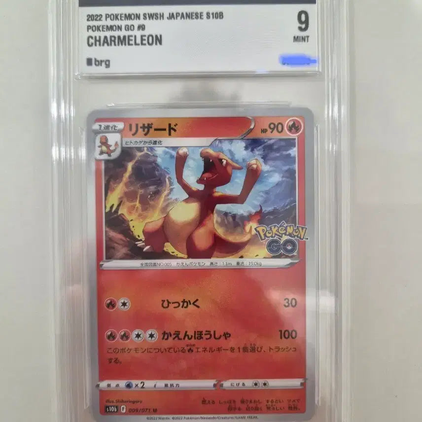 [BUNJANG] Charizard Japanese Version BRG Graded Card / 리자몽 일어판 brg9 등급카드