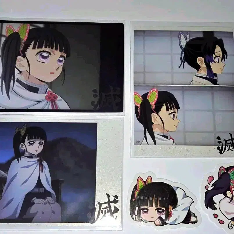 [BUNJANG] Demon Slayer Kanao Highlight Pic Set / 귀칼 하이라이트픽<카나오>세트