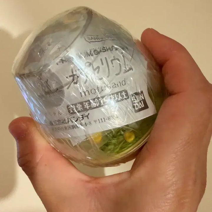 [BUNJANG] Moff &amp; Sand Honeybee Cat Terrarium Capsule Toy (Sealed) / 가챠/모프샌드 티라리움 꿀벌냥/ 미개봉 /캡슐리움