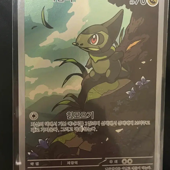 [BUNJANG] Pokemon Card - Turtwig / 터검니 ar S급 포켓몬 카드