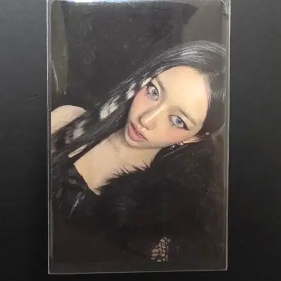 [BUNJANG] Miyau Suin Studio Photocard / 미야오 수인 공방 포카