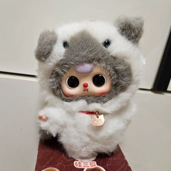 [BUNJANG] Baby 3 Cat Photocard / 베이비쓰리 고양이 ㅇ