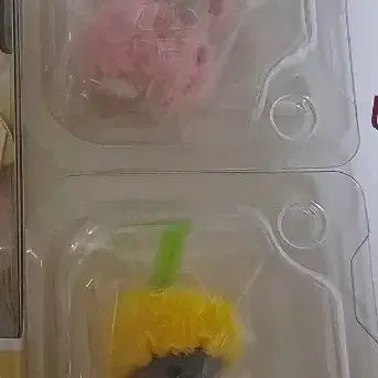 [BUNJANG] Sylvanian Families Blind Pack Baby Cat Cherry Set / 일괄)실바니안 블라인드팩백 페르시안 아기고양이체리 세트