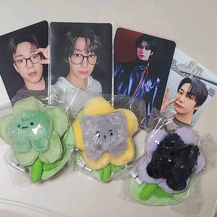 [BUNJANG] Monsta X Cherry Blossom Flower Doll Keychain Bundle Set / 몬스타엑스 꽃인형 벚꽃키링 양도