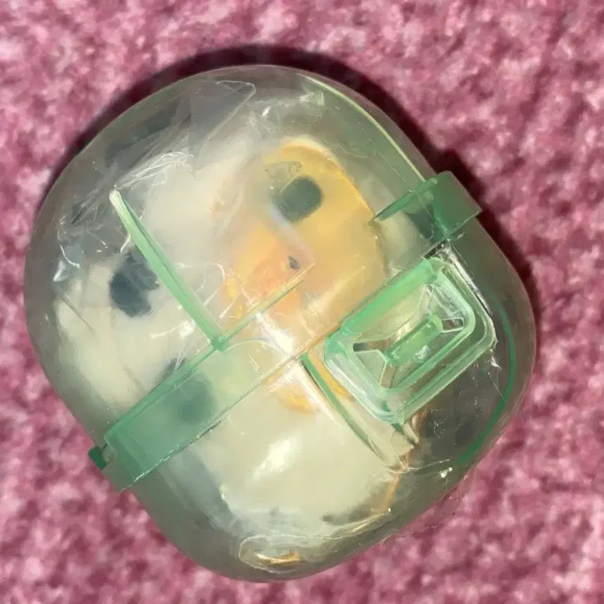 [SOLD OUT] 리락쿠마 해달 키링 키이로이토리 봉제 인형 가챠 조개