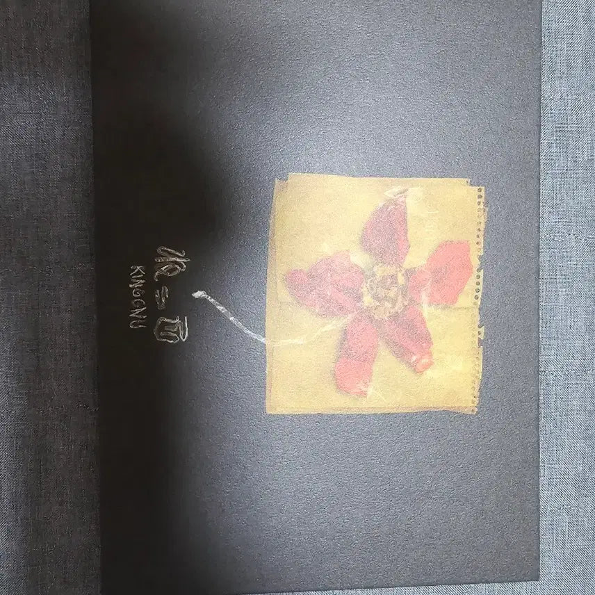 [BUNJANG] King Gnu Nekko Art Book Fanclub Limited Edition / 킹누 넷코 원화집 클럽누 팬클럽 한정 특전 판매합니다