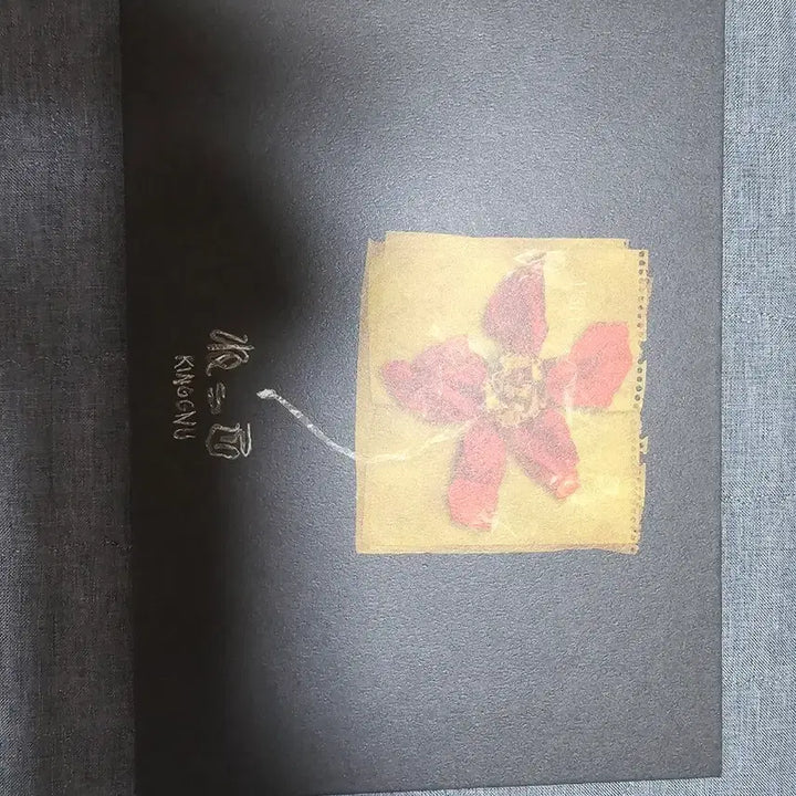 [BUNJANG] King Gnu Nekko Art Book Fanclub Limited Edition / 킹누 넷코 원화집 클럽누 팬클럽 한정 특전 판매합니다
