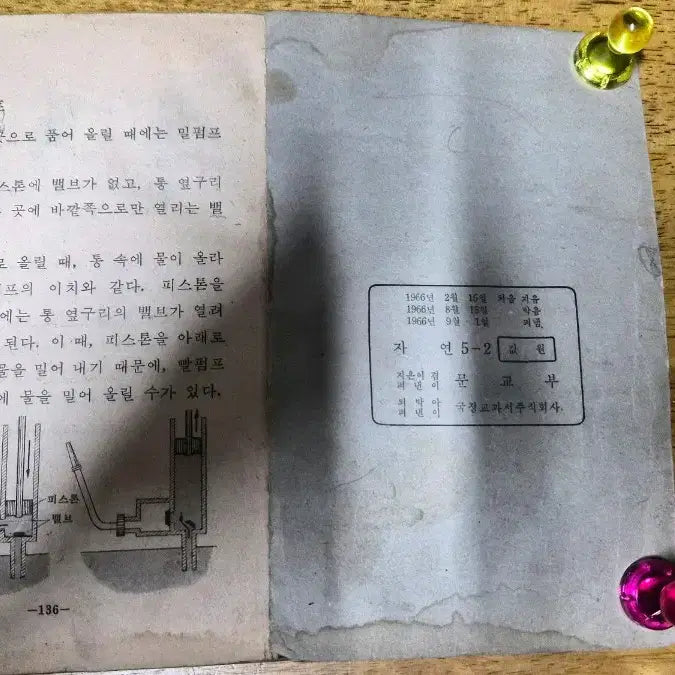 [BUNJANG] 1966 Nature Textbook / 1966년 자연 교과서