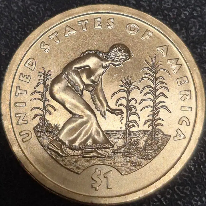 [BUNJANG] 2009 US Sacagawea Dollar Coin (Uncirculated) / 2009년미국 P1달러  사카가위아 아기 주화(완전미사용)