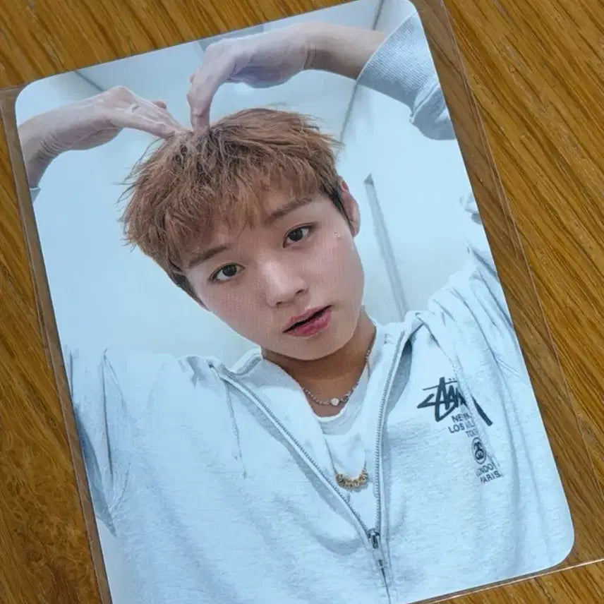 [BUNJANG] Park Ji Hoon Asia Fanconcert Official MD Photocard / 박지훈 팬콘서트 포카 공식md 포토카드