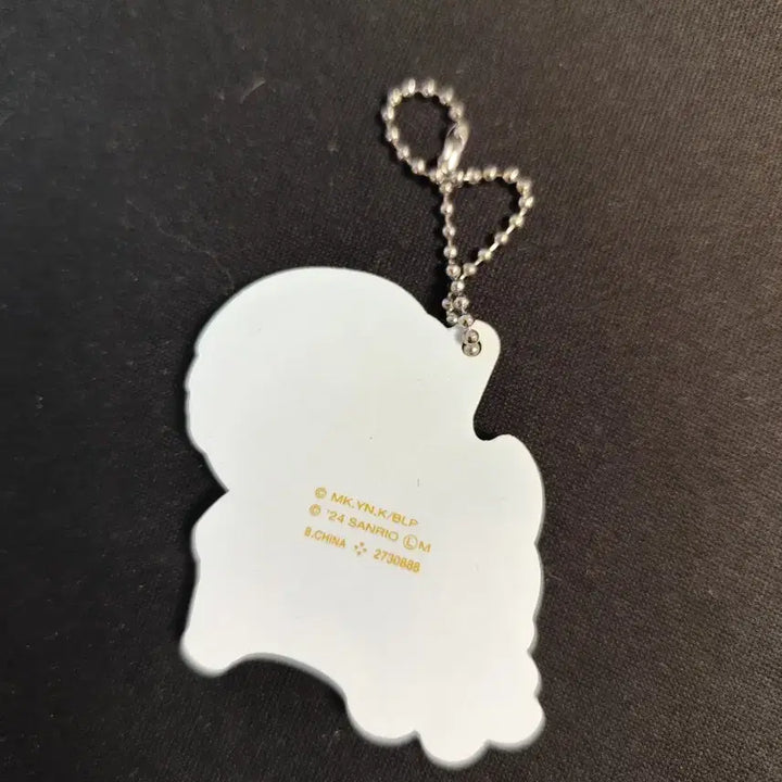 [BUNJANG] Pochacco x Idol Collaboration Keyring / 포차코X아이돌 콜라보 키링