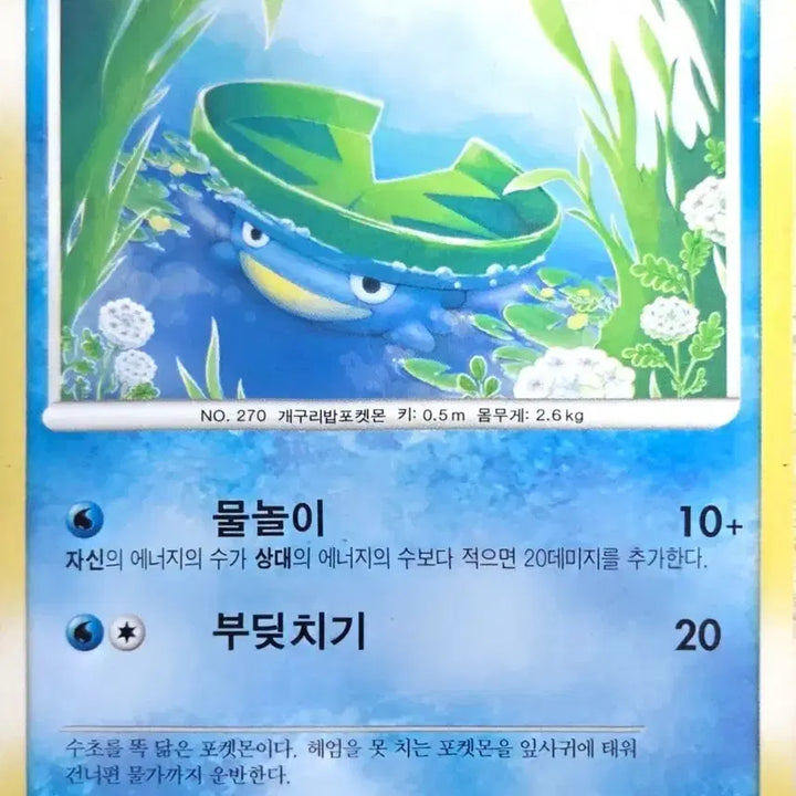 [BUNJANG] Lotad LV.13 Pokemon Card (2010) / 연꽃몬 포켓몬 카드