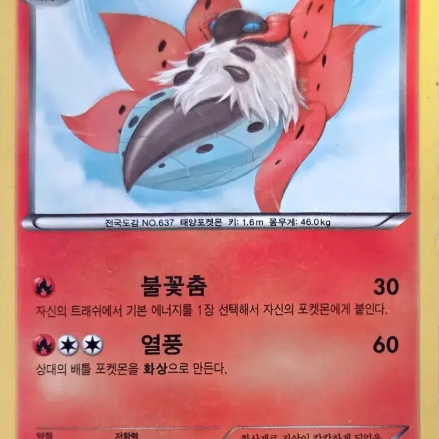 [BUNJANG] Pokemon Card Magmortar BW / 포켓몬카드 불카모스  BW