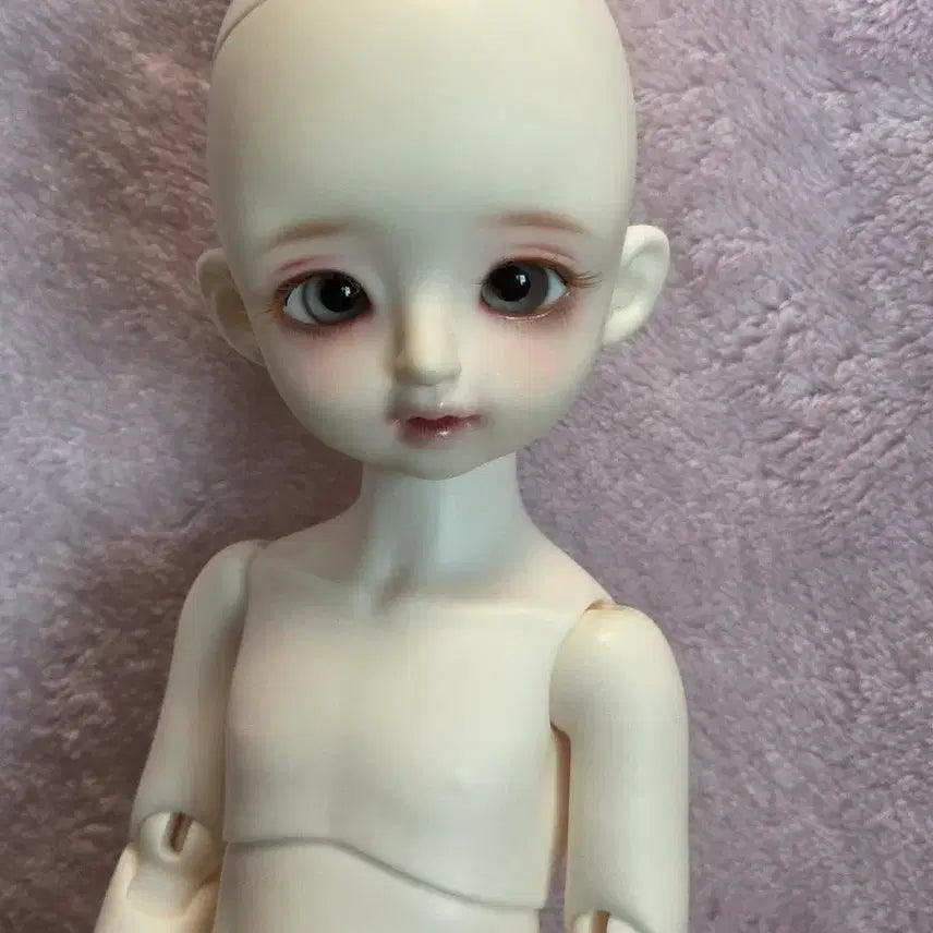 [BUNJANG] Dolce Bella Edel White Ball-Jointed Doll / 돌체벨라 에델 미백 USD 구관 구체관절인형 구관판매